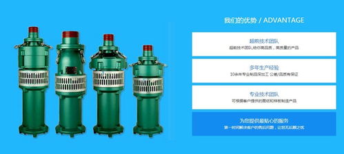 喷泉专用泵的多样选择 探寻沈阳喷泉泵与山东莘泉灌排设备的独特优势